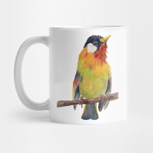 Colorful bird Mug